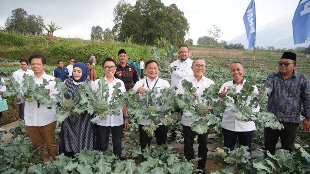 Menko Pangan RI Zulkifli Hasan bersama jajaran Direksi PNM meninjau dan memanen brokoli di lahan nasabah binaan PNM ULaMM di Kopeng, Jawa Tengah, Kamis (9/10/2025).