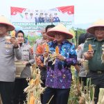 Panen Raya Jagung di Desa Bantar Panjang, Kecamatan Tigaraksa, Kabupaten Tangerang, dihadiri unsur Forkopimda bersama kelompok tani sebagai bagian dari program ketahanan pangan nasional.