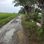 Kondisi jalan Desa Sukajaya, Kecamatan Pontang, Kabupaten Serang, rusak dan berlubang serta tergenang air saat musim hujan, menghambat aktivitas warga.