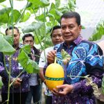 Launching Sentra Melon Hidroponik Terpadu “Melenial Hydrofarm” jadi contoh pengembangan agribisnis teknologi di tingkat desa
