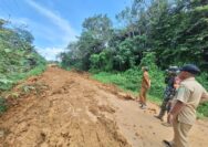 Perbaikan jalan rusak di Jirak Jaya dorong kembali mobilitas dan aktivitas ekonomi masyarakat