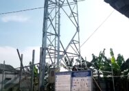 Perusahaan Menara Telekomunikasi di Kabupaten Tangerang Mangkir dari Panggilan Dinas Tata Ruang dan Bangunan, Satuan Polisi Pamong Praja Berpotensi Turun Tangan