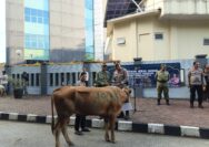 Kapolresta Tangerang Kombes Pol. Andi Muhammad Indra Waspada Amirullah pimpin penyaluran hewan kurban Iduladha bersama TNI dan masyarakat