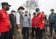 Menteri Kehutanan Raja Antoni saat meninjau langsung penanganan kebakaran hutan dan lahan (karhutla) di Desa Kuala Dua, Kabupaten Kubu Raya, Kalimantan Barat, Kamis (3/9/2026). Pemerintah mengambil langkah tegas dengan membekukan izin usaha lima korporasi serta menerapkan paksaan pemulihan lingkungan.
