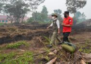 Menhut Raja Antoni Pantau Langsung Karhutla Kubu Raya Kalbar, Pendinginan Dimassifkan