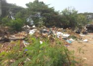 Tumpukan sampah di Taman BKT Metland Menteng, RW 02, Ujung Menteng, Cakung, disebut sudah berlangsung lebih dari dua minggu dan berada tidak jauh dari permukiman warga.